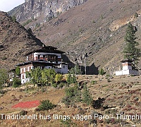 Traditional house along the road Paro - Thimphu