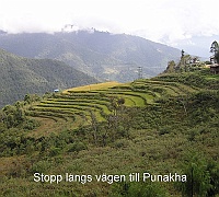 Stops along the way to Punakha