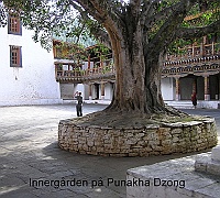 The courtyard on Punakha Dzong