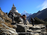 Day 6. The trek continues on to Dingboche