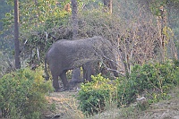 We even saw some wildlife, like the first elephants