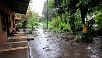 It rained even in Tortuguero at Miss Junie's Lodge.